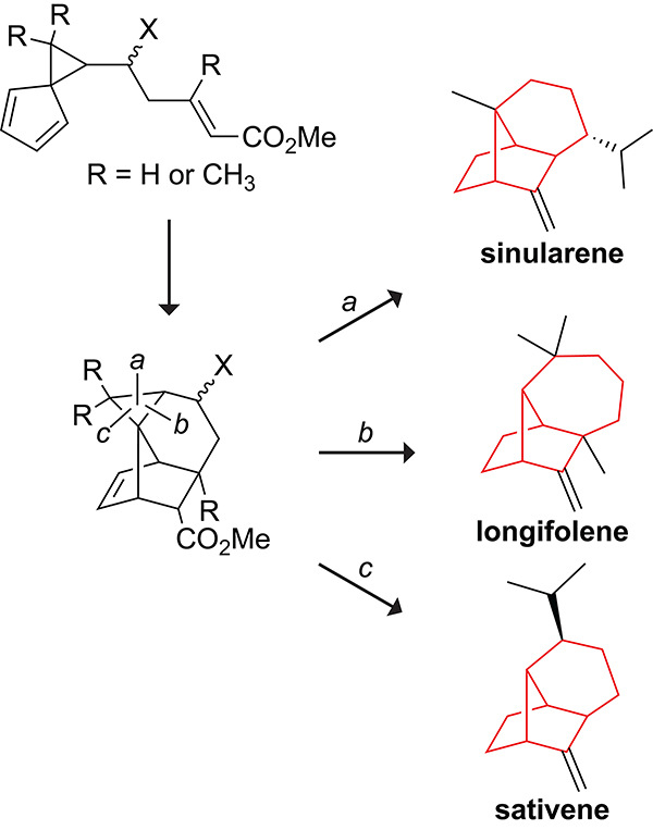 Scheme 23.