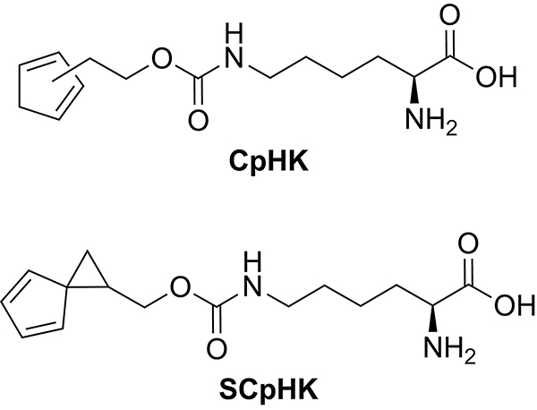 Scheme 51.