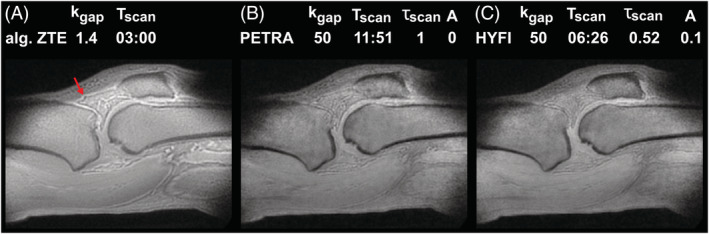 FIGURE 10