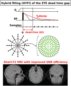 graphic file with name NBM-34-e4493-g003.jpg