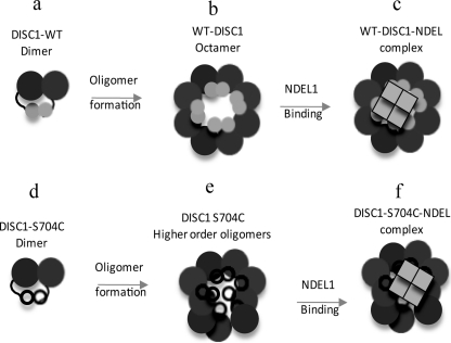 FIGURE 10.