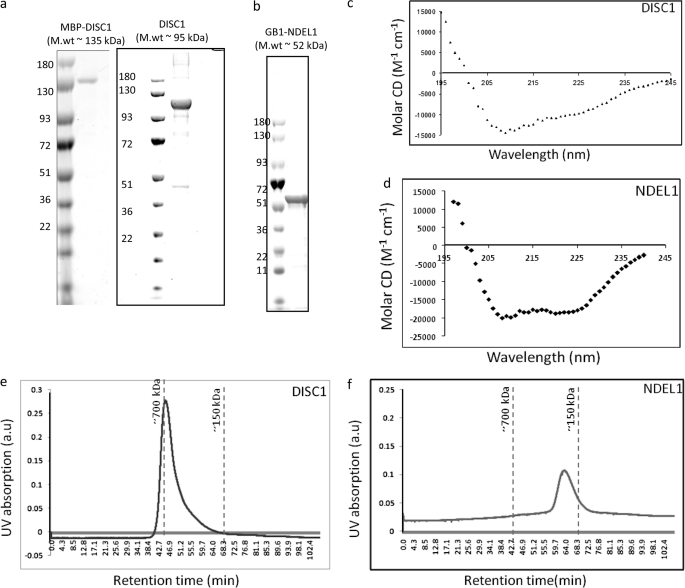 FIGURE 1.