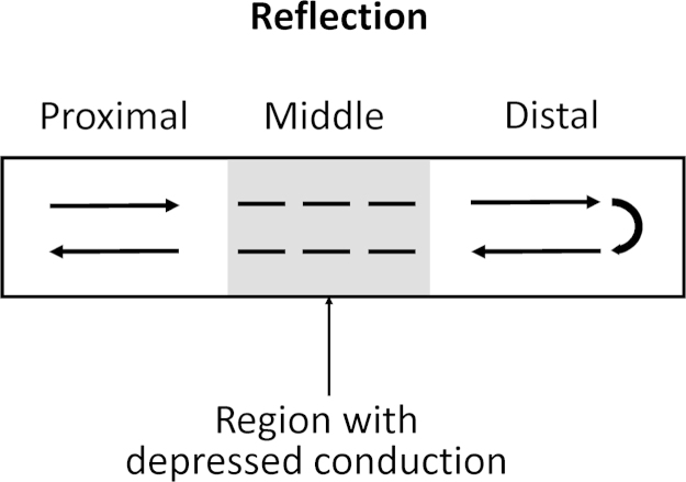 Fig. 5.