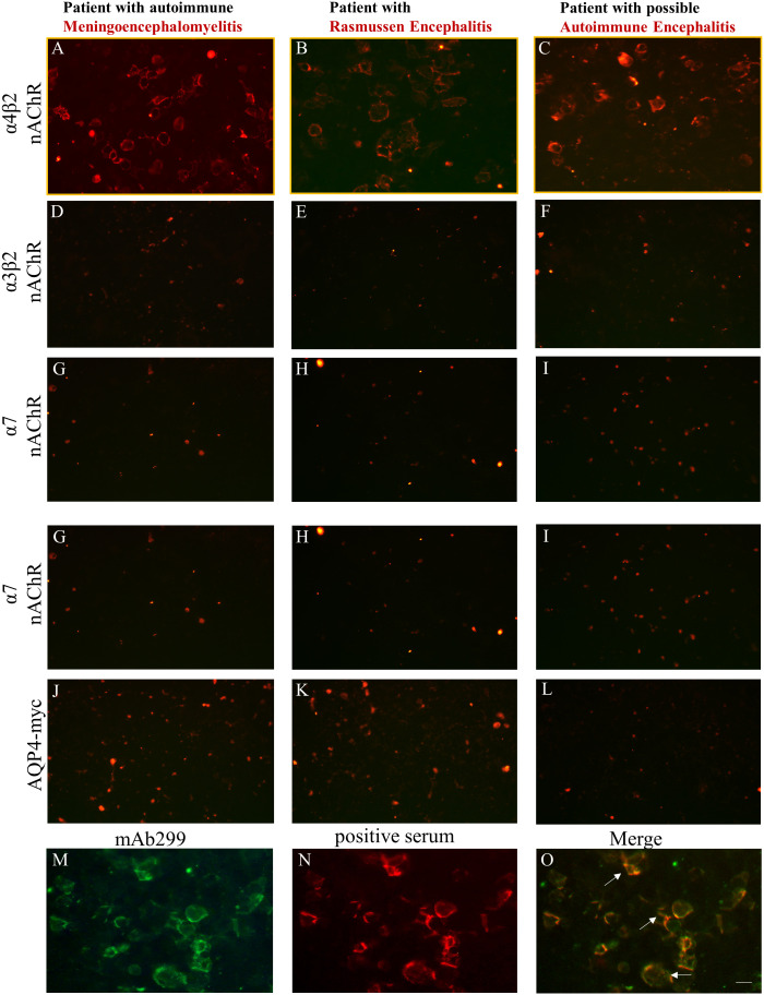 Figure 2