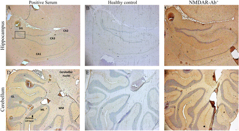 Figure 3