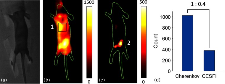 Fig. 4