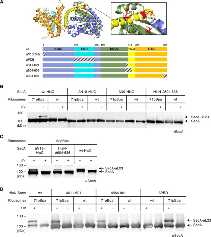 FIG 2