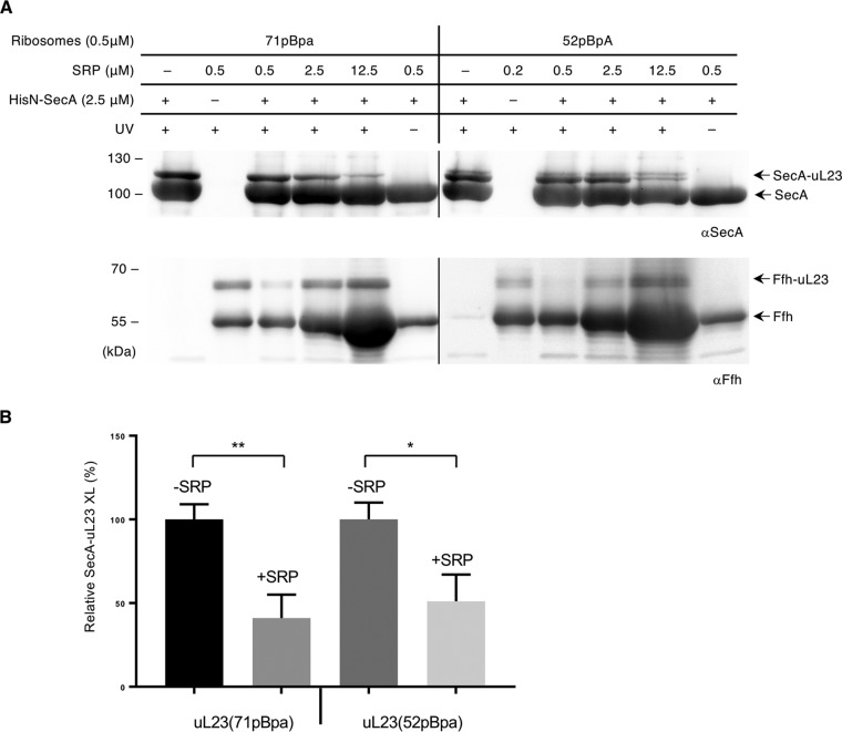 FIG 4