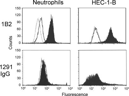 FIG. 8.