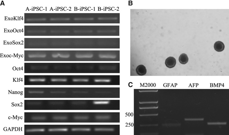 FIG. 6.