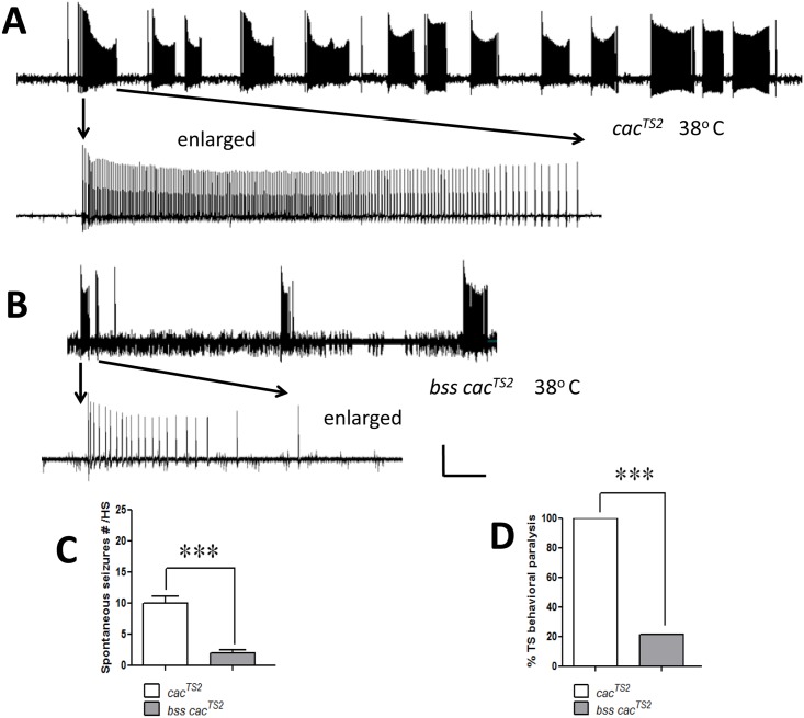 Fig 5