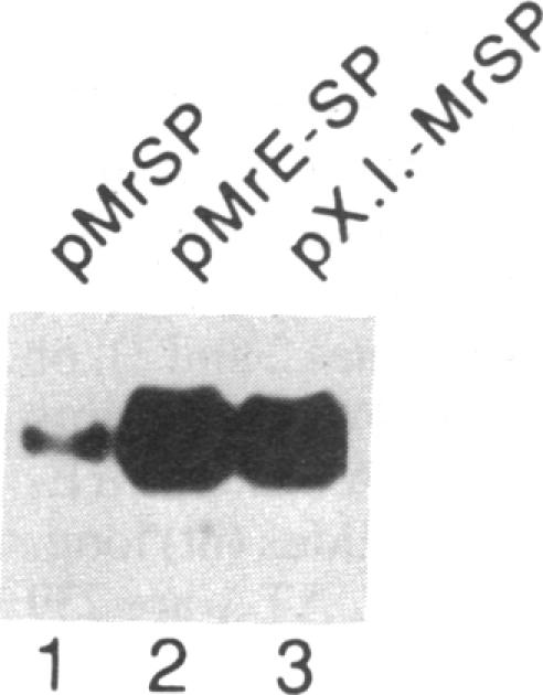 graphic file with name pnas01044-0192-d.jpg