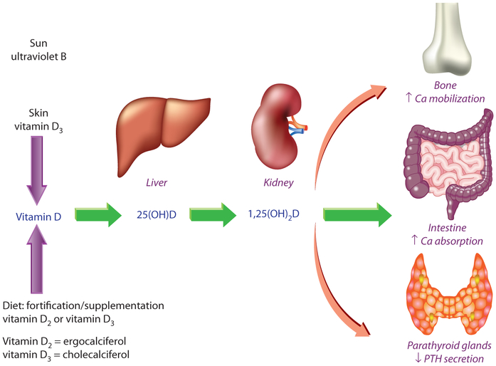 Figure 2: