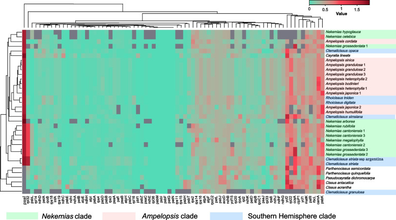 Fig. 7