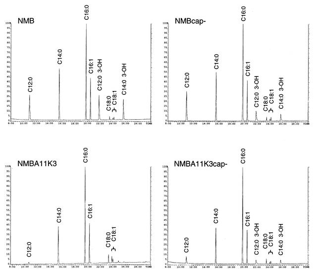 FIG. 6.