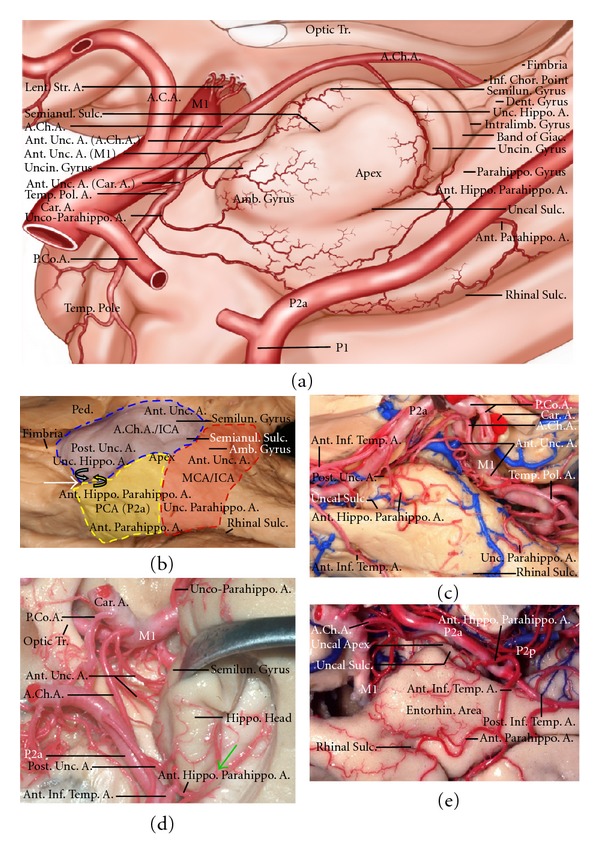 Figure 6