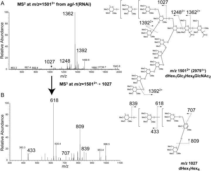 Fig. 3.