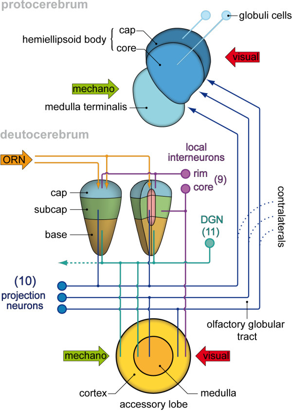 Figure 9