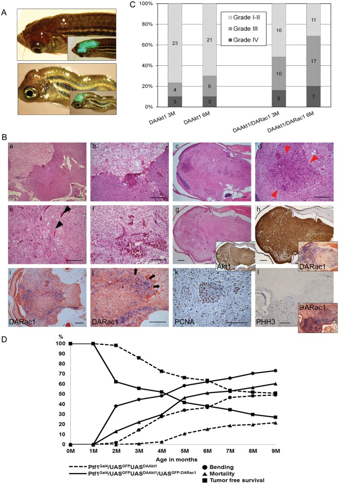 Fig. 4.