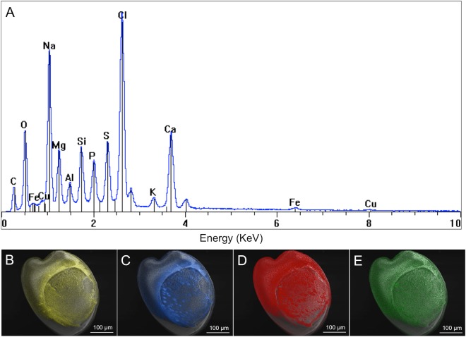 Figure 5