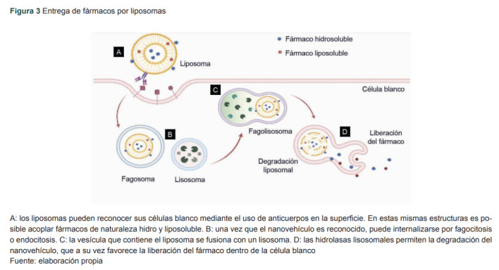 Figura 3