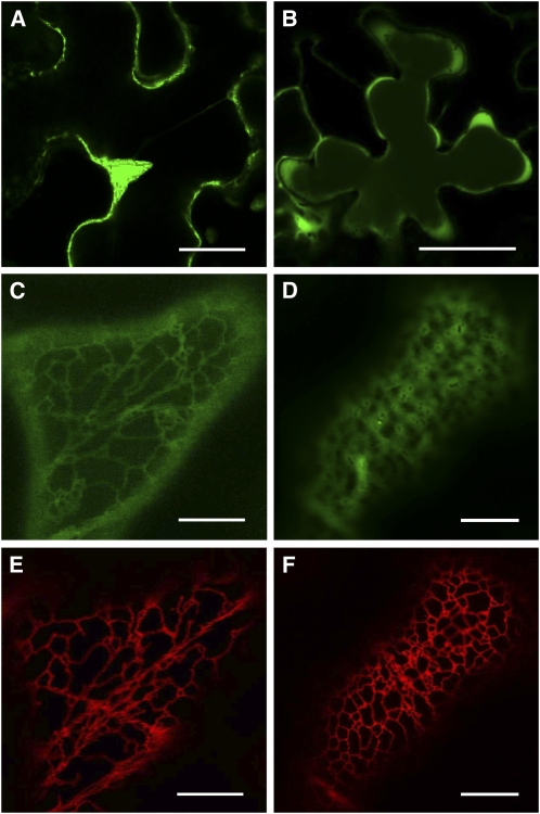 Figure 9.