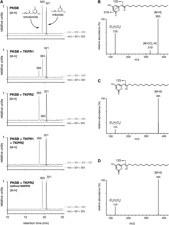 Figure 7.