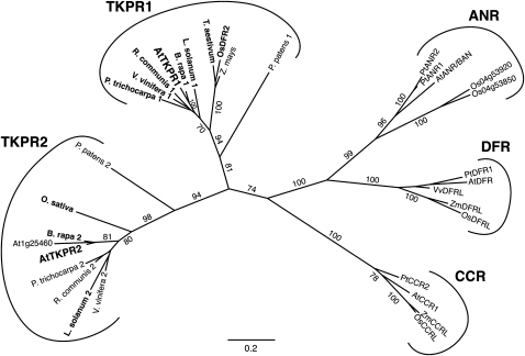 Figure 10.