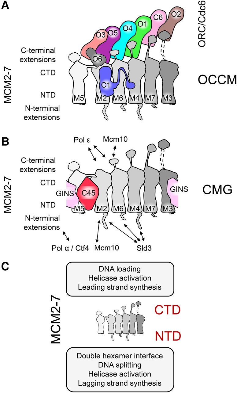 Figure 6.