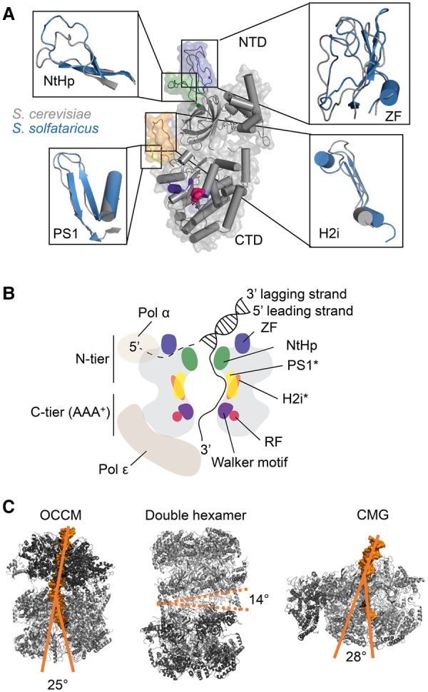 Figure 5.