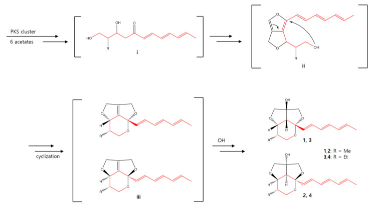 Scheme 1