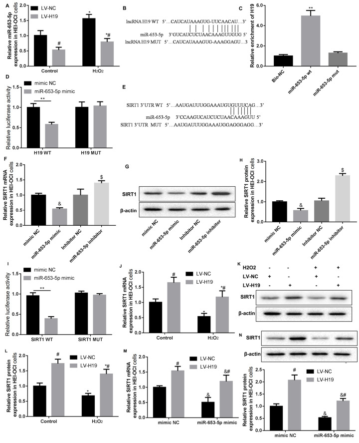 
Figure3
