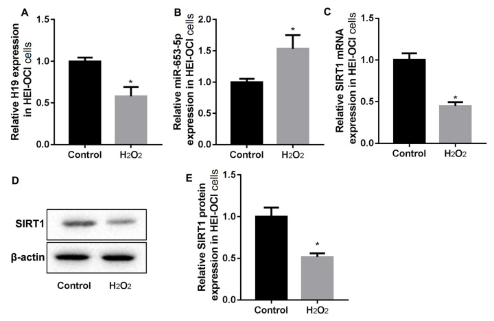 
Figure1
