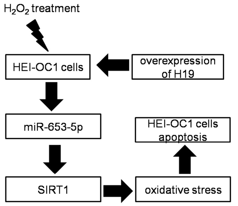 
Figure5
