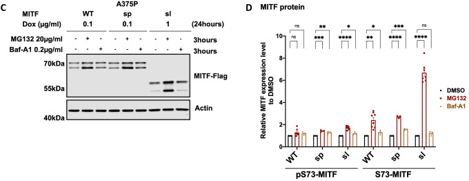 Figure 4: