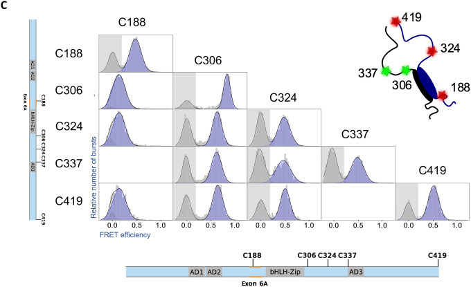 Figure 6: