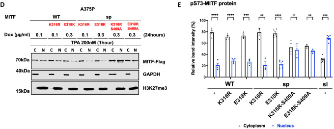 Figure 5: