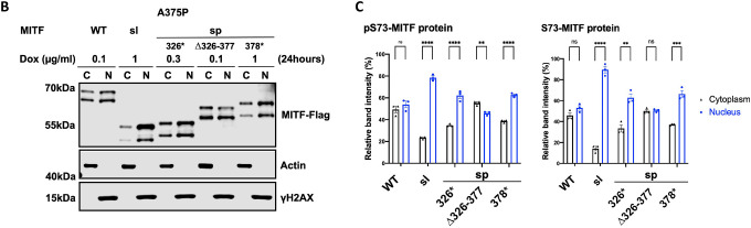 Figure 3: