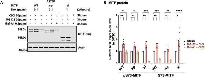 Figure 4: