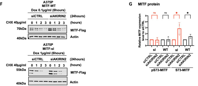 Figure 4: