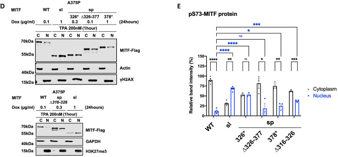 Figure 3: