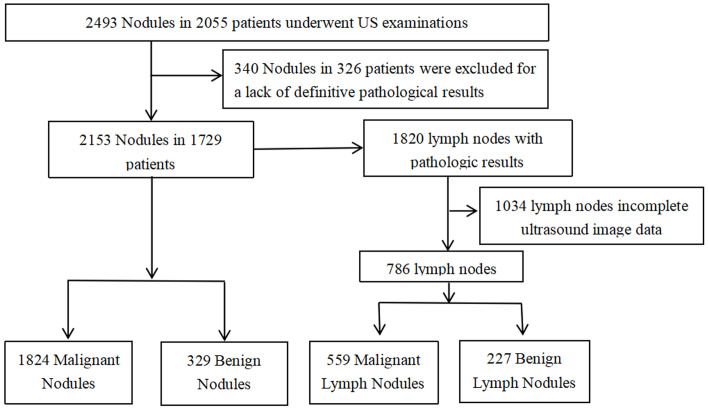 Figure 1