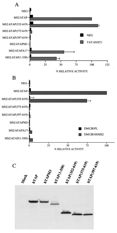 FIG. 3.