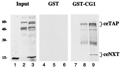 FIG. 7.