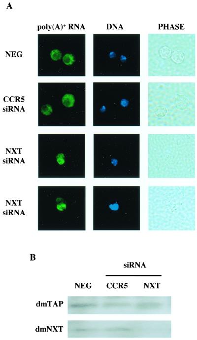 FIG. 5.