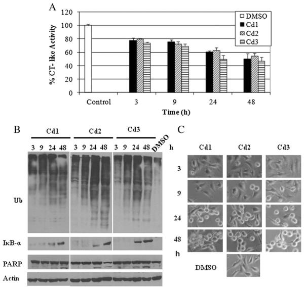 Fig. 6