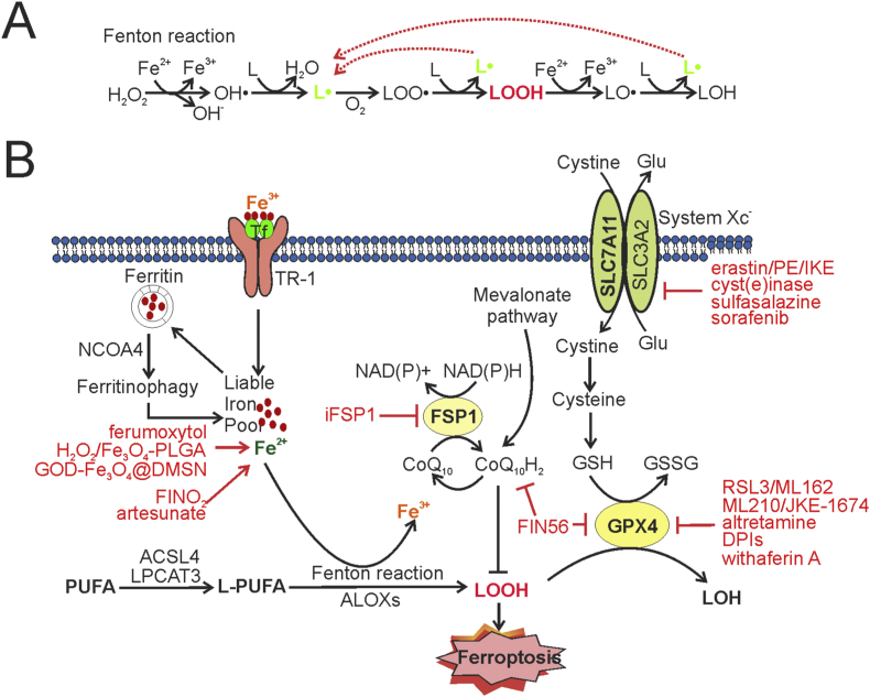 Figure 1