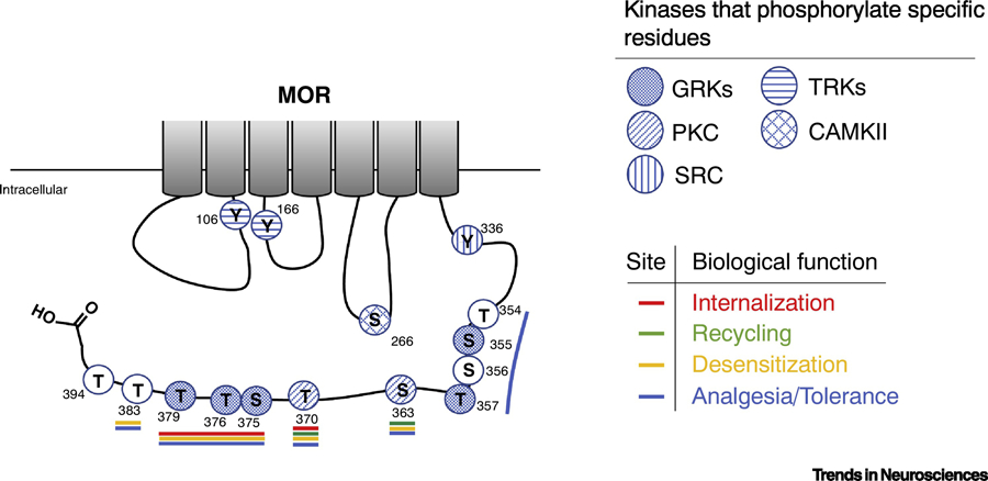 Figure 3: