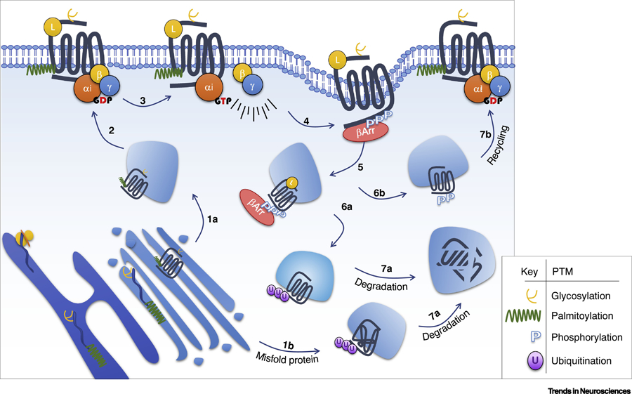 Figure 2: