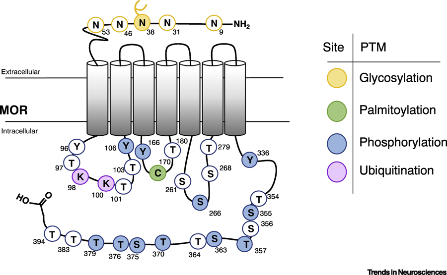 Figure 1: